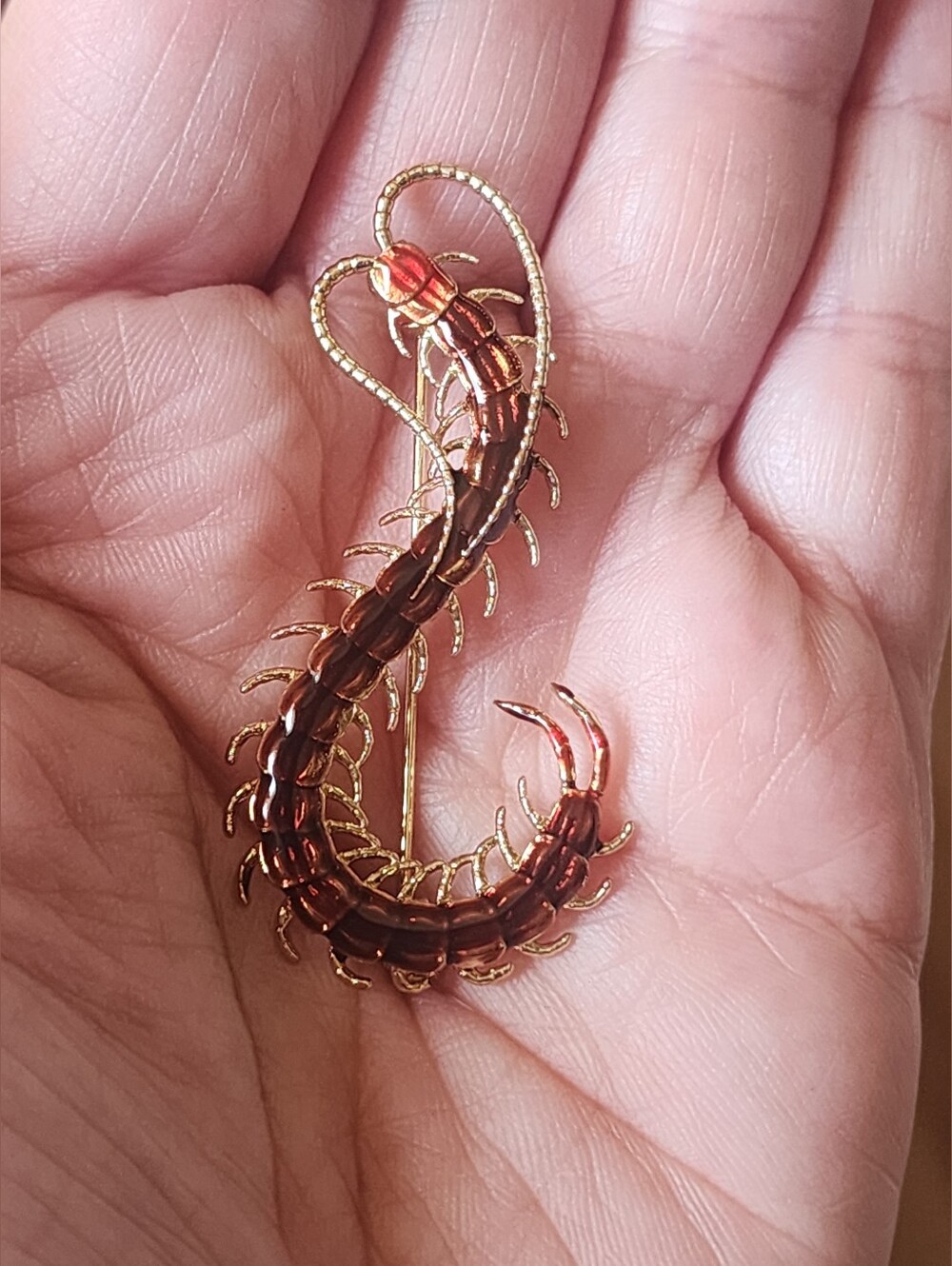 ✨️❣️ Red Centipede Brooch Pin - Picture 3 of 6